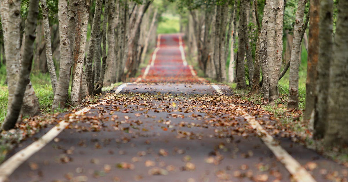 How long do subdued NPCs remain unconscious for? - Empty Road Between Trees