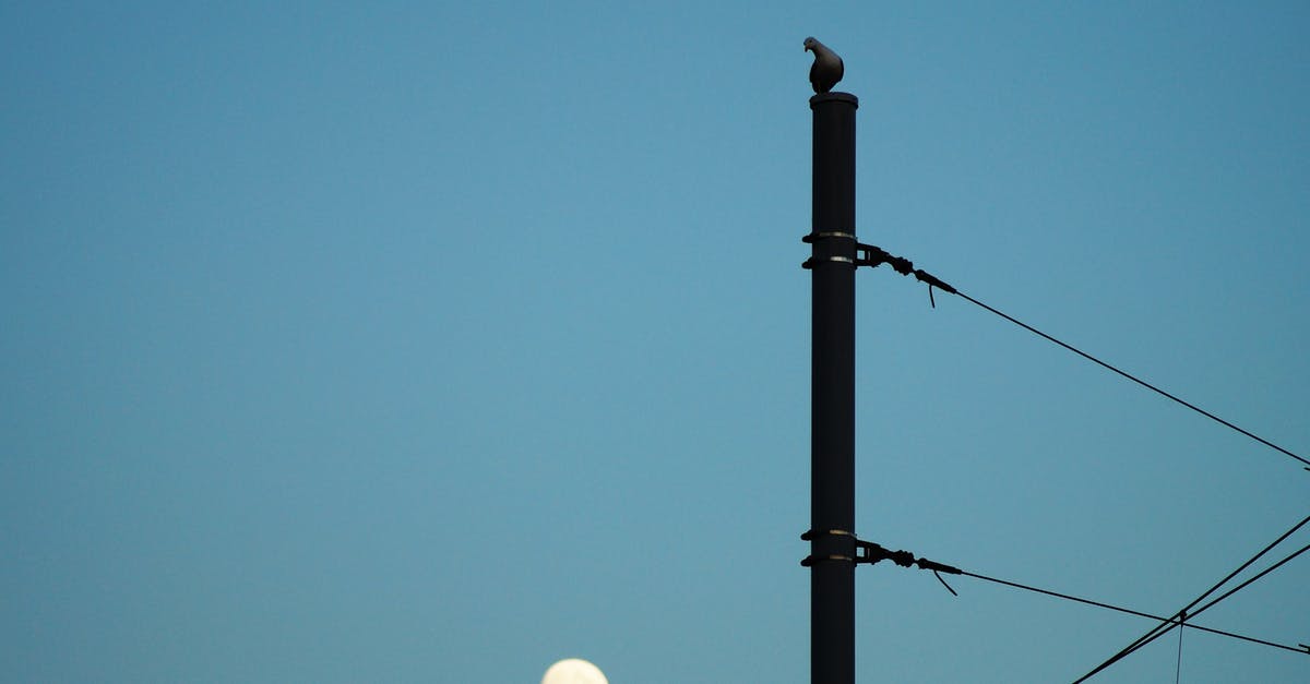 How many power moons can be obtained before post-game? - Silhouette of Bird Perching on Electric Post