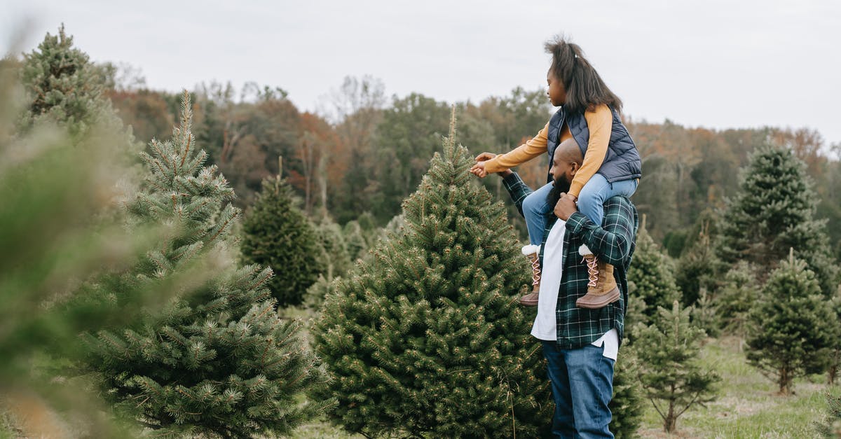 How Many Save Files Can You Have In Kid Icarus: Uprising? - Side view of African American dad carrying girl on shoulders while touching fir tree branches cultivating for Christmas