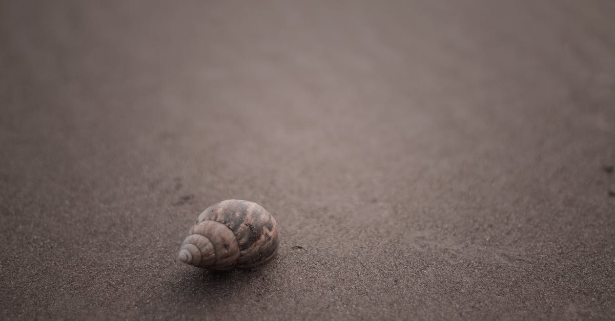 How much does Diffusal Blade slow enemies? - Brown and Beige Seashell on Brown Sand