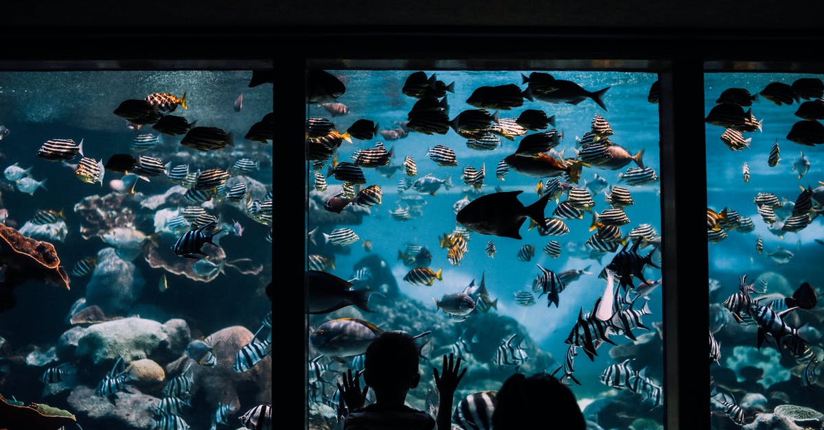 How often animals are respawned in oases? - People Watching Fishes in Aquarium