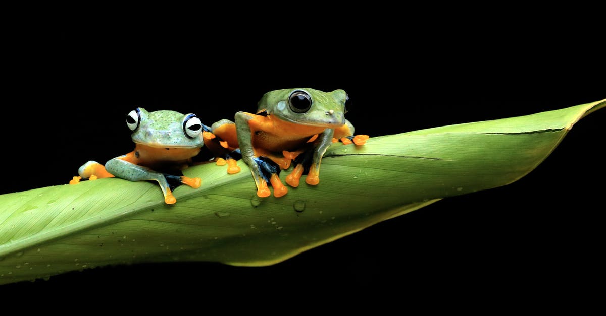 How often animals are respawned in oases? - Green Frog on Green Leaf