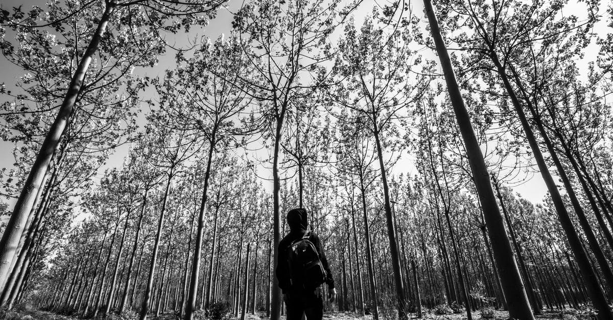 How tall is the ladder? - Grayscale Photo of Man in Black Jacket and Pants Standing in Forest