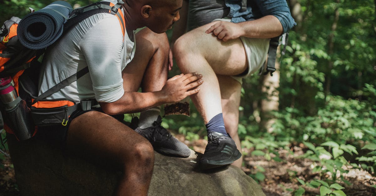 How to check Friendship in Pokemon Legends: Arceus? - Multiracial men in activewear with backpacks resting on stone and checking ticks while having break during trekking