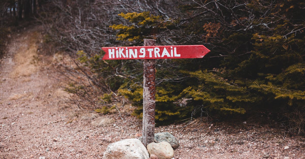 How to detect if an arrow is in the ground - Bright pointer in footpath in forest