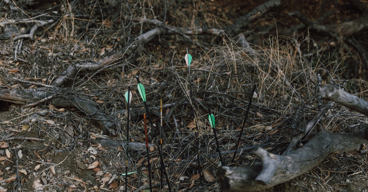 How to detect if an arrow is in the ground - Arrows on Brown Grass 