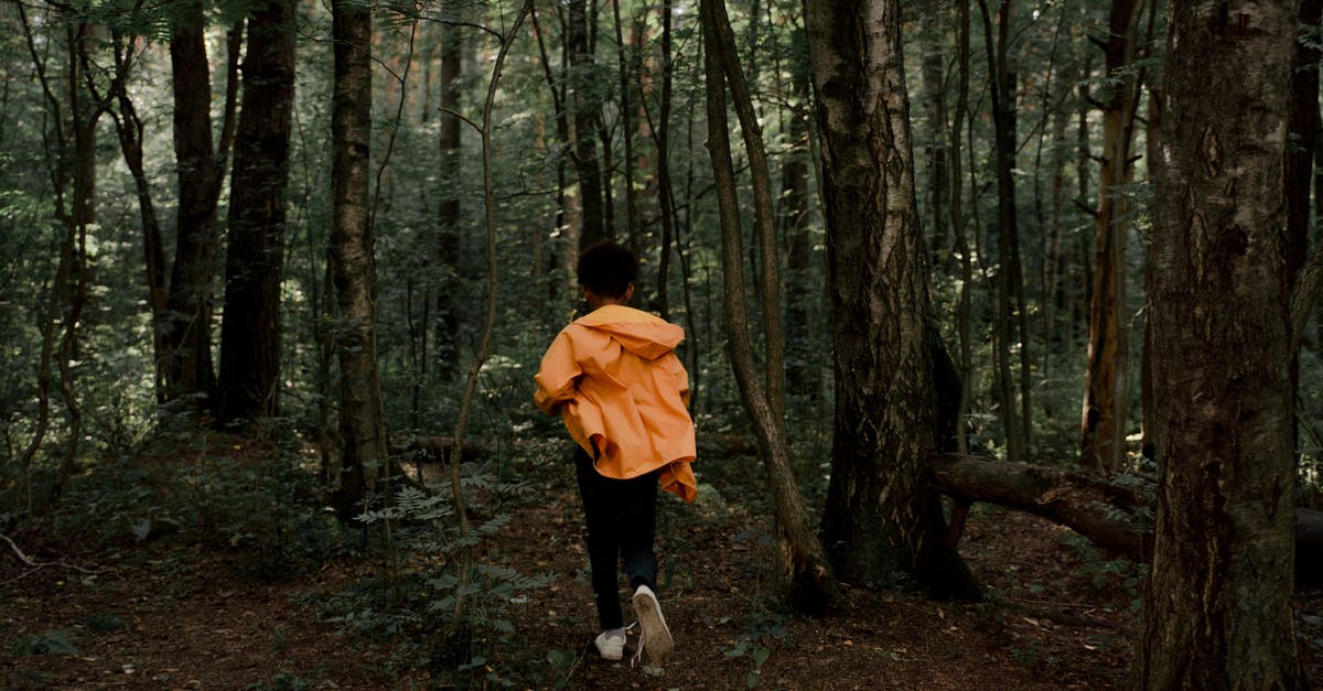 How to escape when cornered by enemies? - Rear View of Teenage Boy Running in Forest