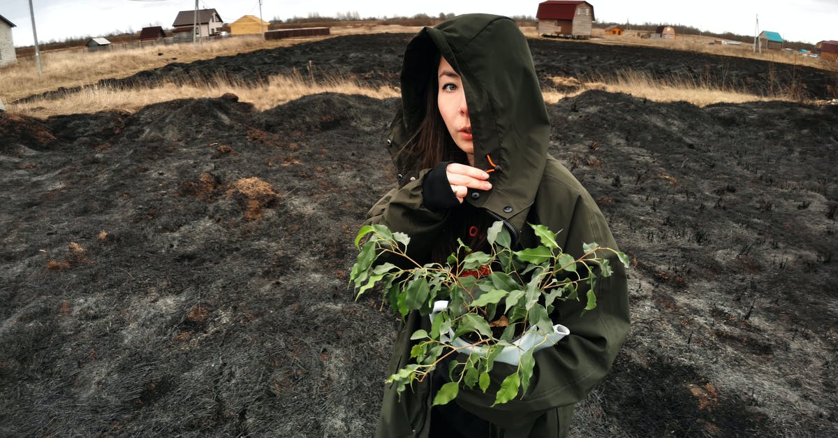 How to find and use Dark Zone keys? - Ethnic female in coat covering half of face while standing with plant with spiky leaves on uneven terrain behind faded grass and houses in rural zone and looking at camera