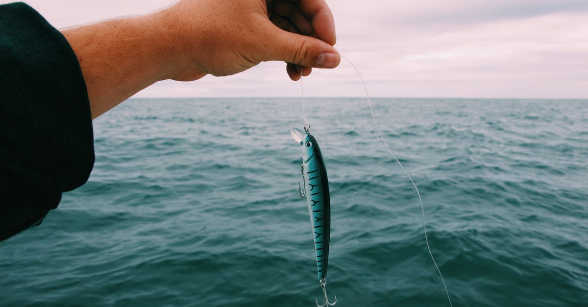 How to find fishing bait? - White and Blue Fishing Rod