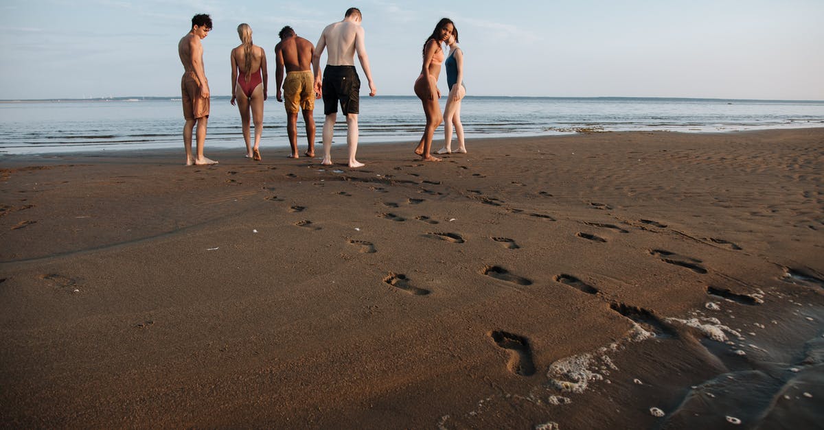 How to know if something is installed? - Diverse Group of People in Swimwear Looking for Something in Sandy Beach