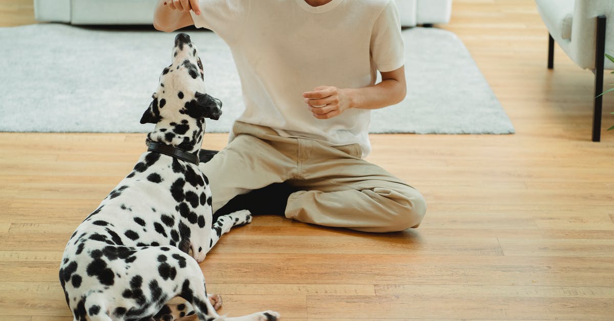 How to play spore without a code? - Woman in White Long Sleeve Shirt and Brown Pants Sitting on Floor