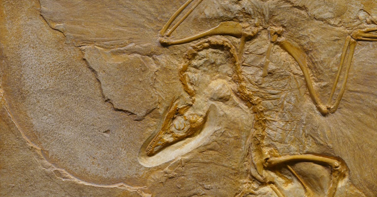 How to remove noble prisoners from dead factions? - Dinosaur fossil on rough stone formation