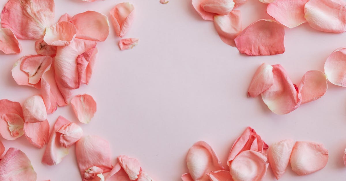 How to survive in the middle of a storm? - Composition of pink petals on pink surface