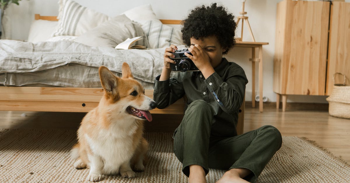 How to turn off damage camera shake in Minecraft? - Boy Taking Picture of Dog on Vintage Camera