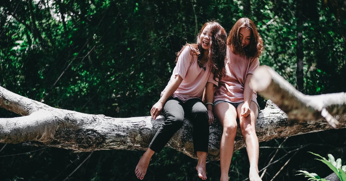 I can't log onto my friends server - Two Woman Sitting on Tree Log