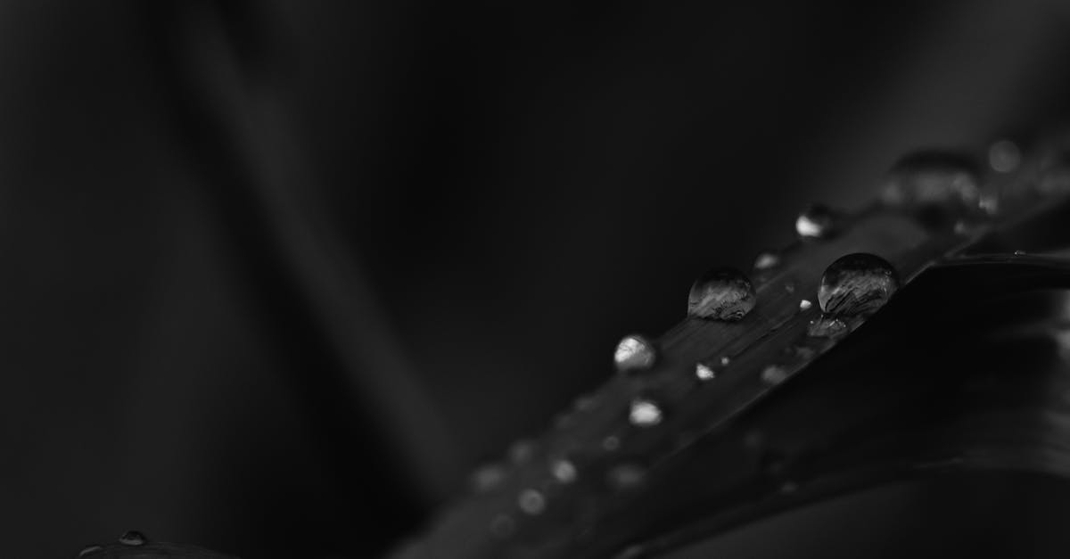 I can’t drop items in super smash bros brawl - Monochrome Photo of Water Droplets on Leaf