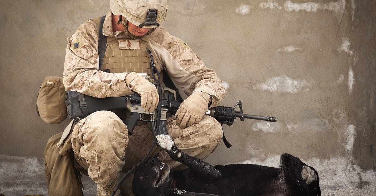 If I go into battle with a character at Max level does their experience get distributed to the rest of the party? - Soldier Sitting on Rock While Playing With Black Dog If I go into battle with a character at Max level does their experience get distributed to the rest of the party? - Soldier Sitting on Rock While Playing With Black Dog