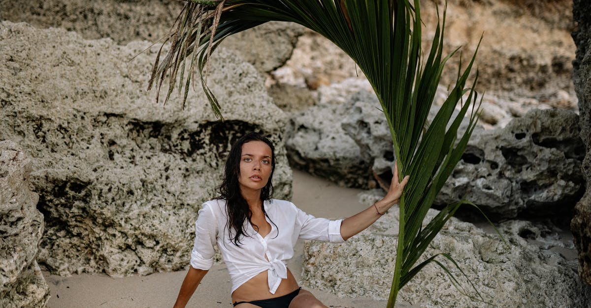 If I go into battle with a character at Max level does their experience get distributed to the rest of the party? - Woman sitting on sandy shore with palm branch If I go into battle with a character at Max level does their experience get distributed to the rest of the party? - Woman sitting on sandy shore with palm branch