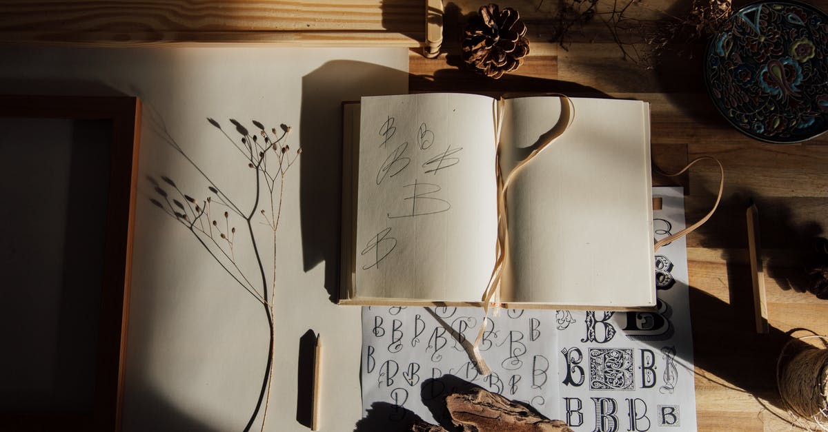 In Bidiots, what do the texts from the art buyers mean? - Top view of opened notebook with pencil and dried flower placed on wooden table near other decorative elements illustrating handwriting practice as hobby