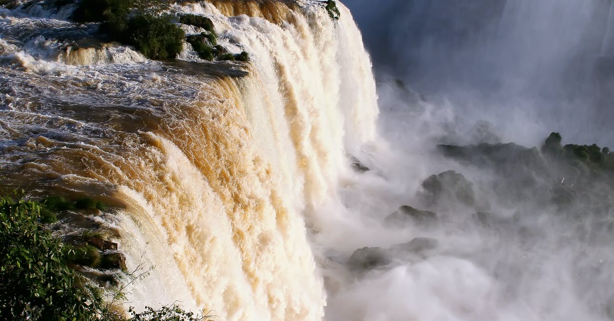 In what sort of water do Squids spawn - Iguazu falls