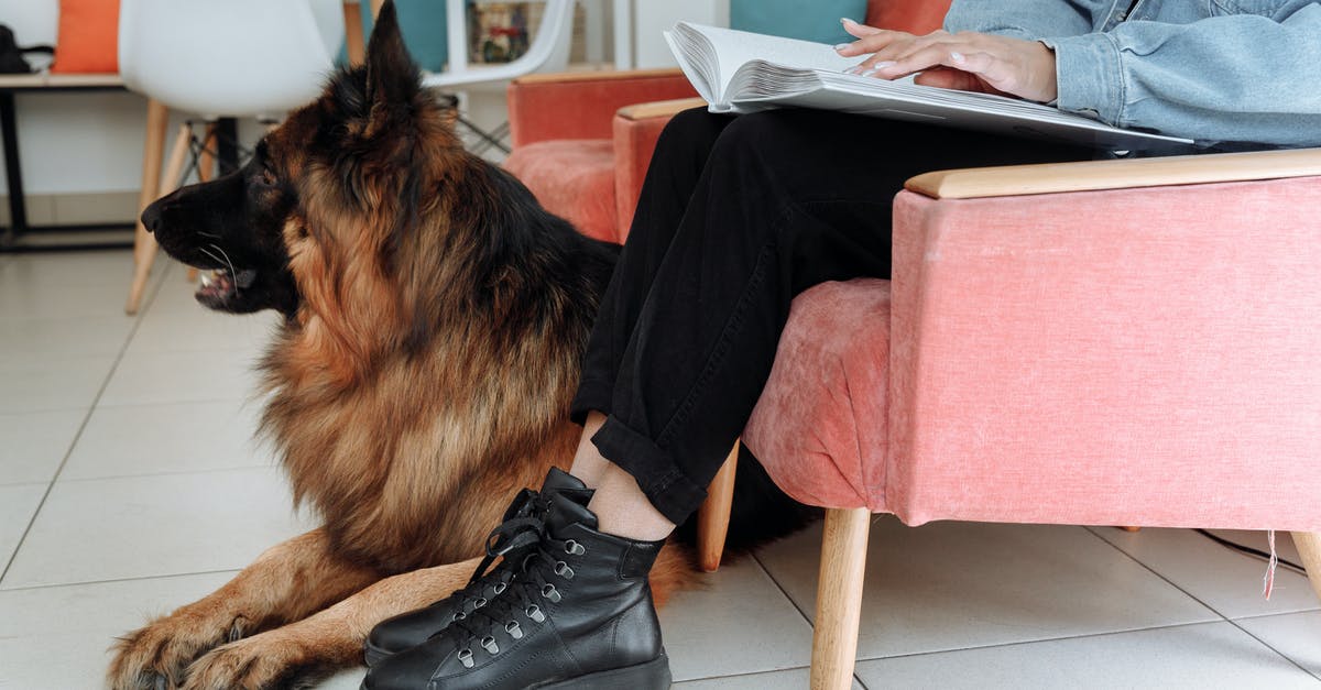 Is everyone in Bloodborne blind? - Person in Denim Jacket Using a Braille Beside a Dog