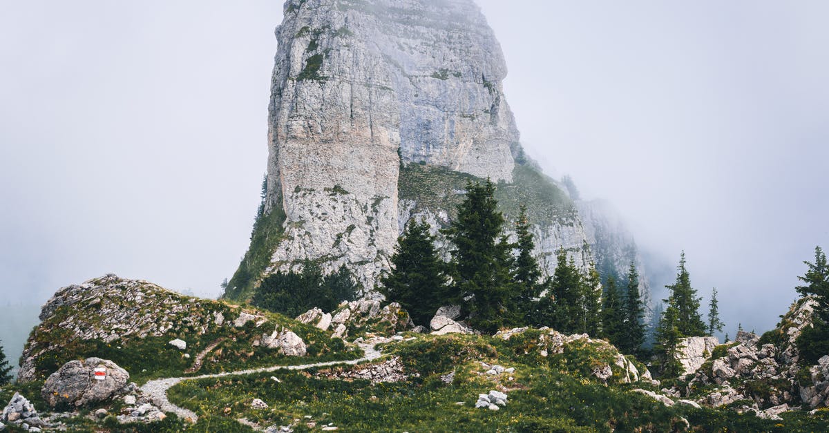 Is it easier to beat a Pokemon that's twice as high at low or high CP values? - Gray and Green Mountain Is it easier to beat a Pokemon that's twice as high at low or high CP values? - Gray and Green Mountain