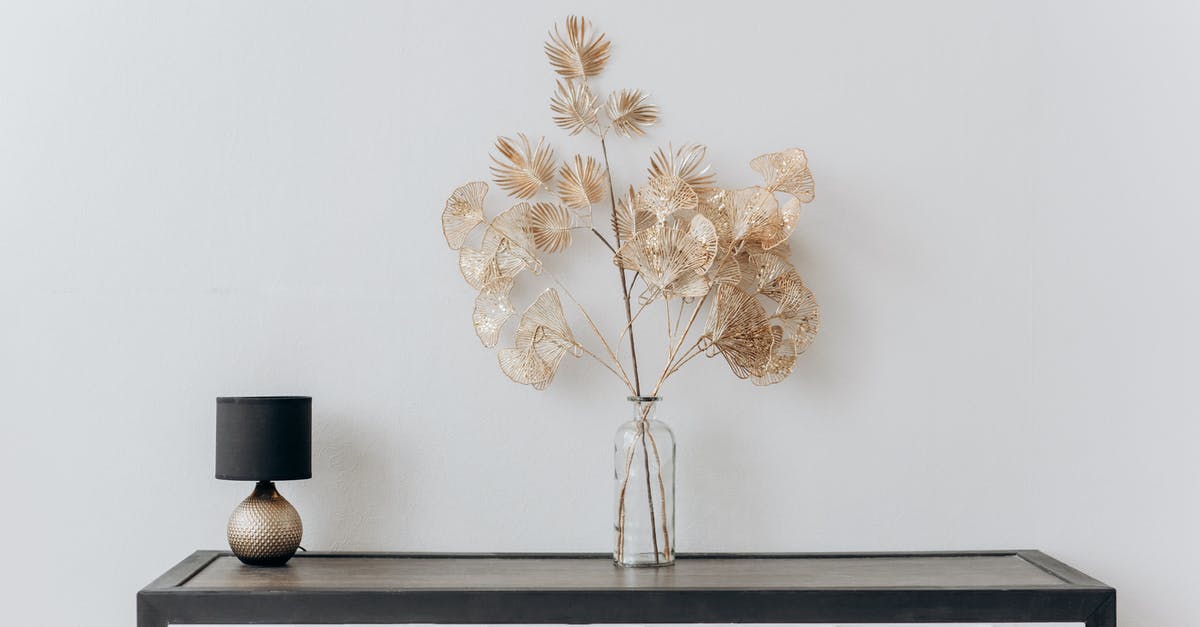 Is it possible to disable the console or its keybind? -  Flower Vase And Lamp On Black Vase on A Console Table