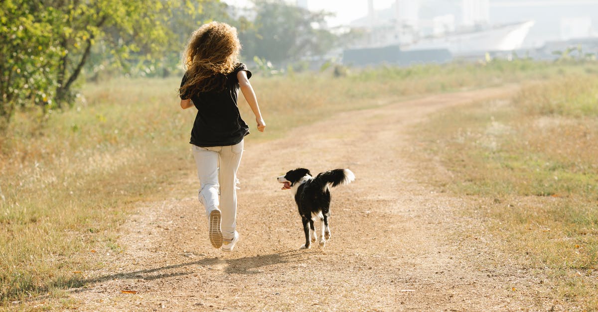 Is it possible to run out of unlock tokens on Zombies? - Unrecognizable sportswoman running with Border Collie on path in park