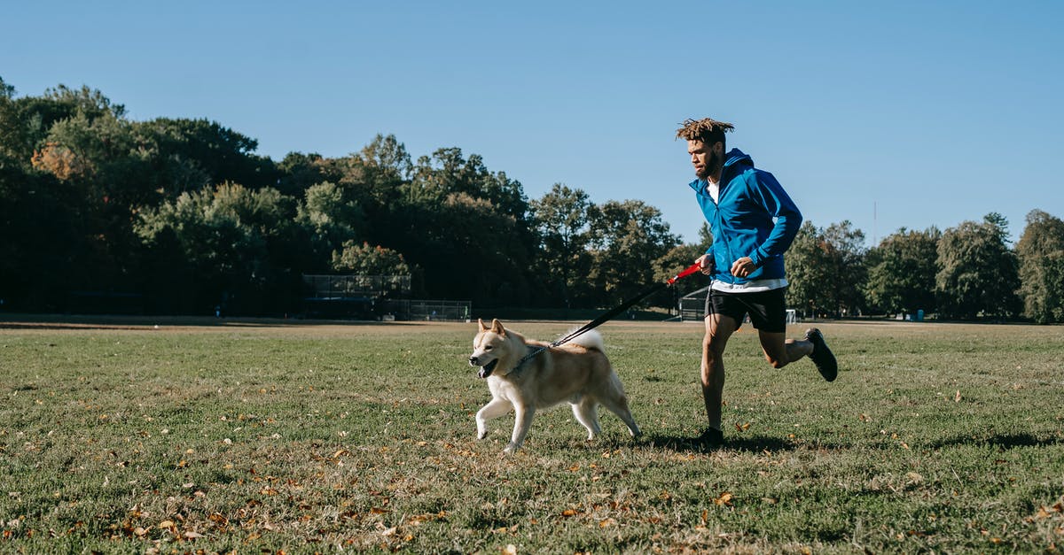 Is it possible to run out of unlock tokens on Zombies? - Ethnic hipster man running with West Siberian Laika on meadow