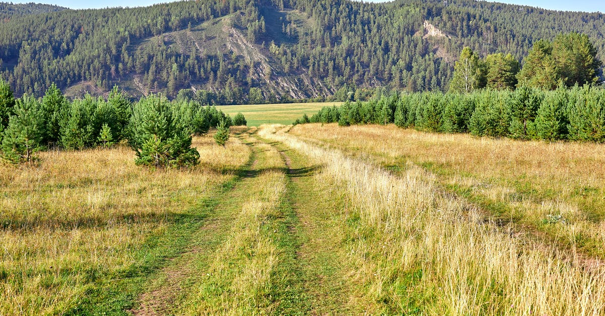 Is The Oregon Trail randomized? - Landscape of a Field and a Hill in Summer 