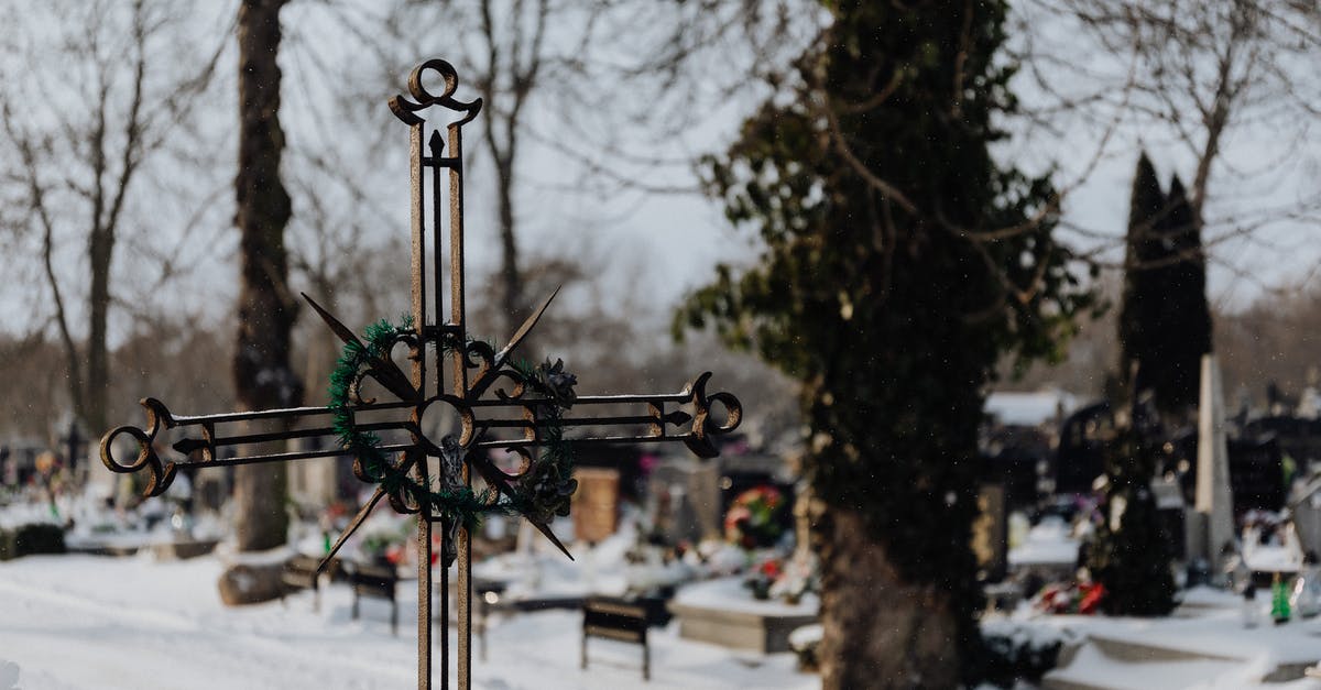 Is the Winter Melon worth its price? [closed] - Metal Crucifix in a Snowy Cemetery