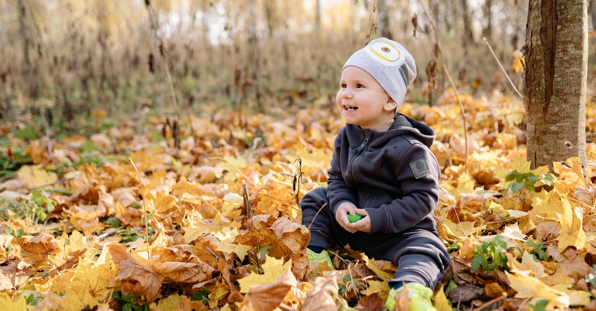 Is there a command to spawn a baby zombie? - A Baby Sitting on  Fallen Leaves 