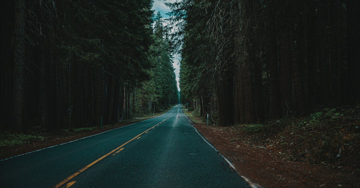 Is there a limit on how far you can Hollow in Dark Souls II? - Trees Beside Road Is there a limit on how far you can Hollow in Dark Souls II? - Trees Beside Road