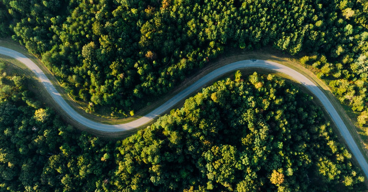 Is there a path which continues from here? - Aerial Photo of Empty Meandering Road In Between Forest