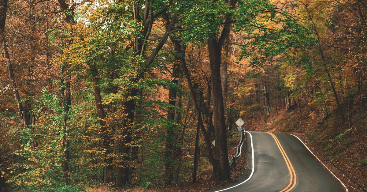 Is there a way to increase the max zoom distance? - Gray Concrete Roadway Beside Green and Brown Leafed Trees