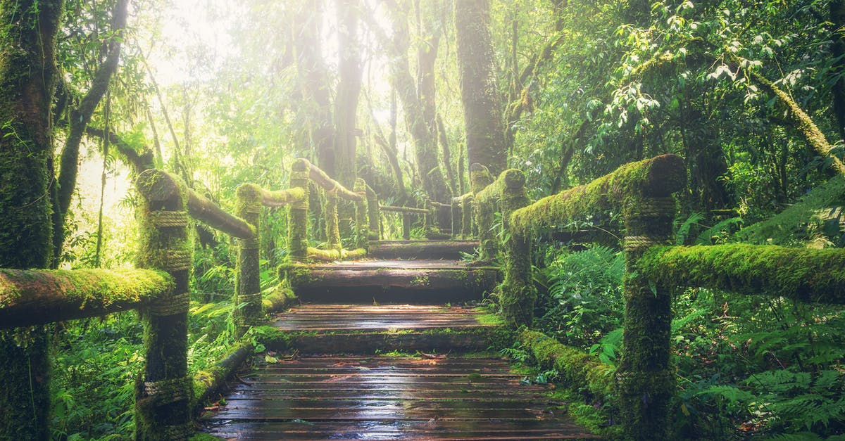 Is there a way to rotate myself? - Wooden Bridge on Rainforest