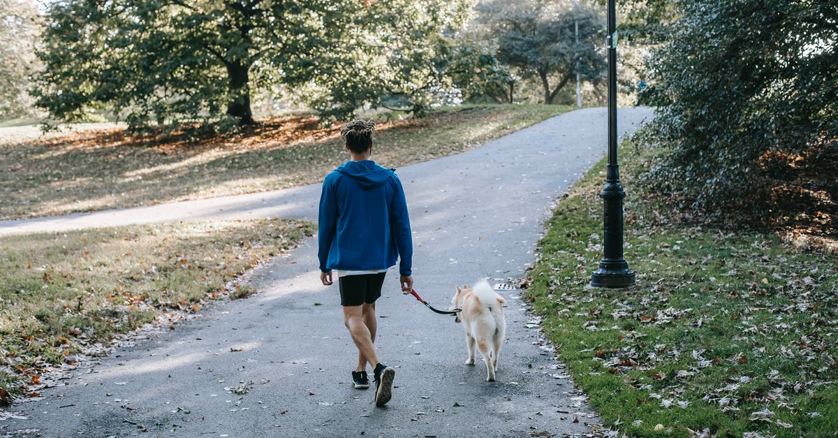 Is there a way to see ping in Fall Guys? - Anonymous guy with purebred dog walking in green park