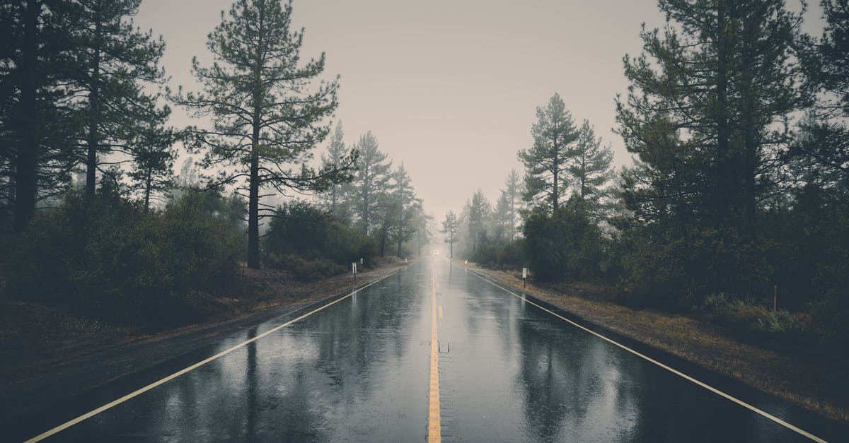 Is there a way to tell if I've sold anything during my current playthrough? - Road Between Pine Trees Is there a way to tell if I've sold anything during my current playthrough? - Road Between Pine Trees