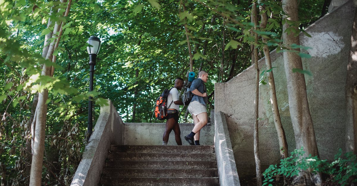 Is there an optimum way to level up characters? - Side view of active multiracial travelers walking upstairs in green park in sunny day