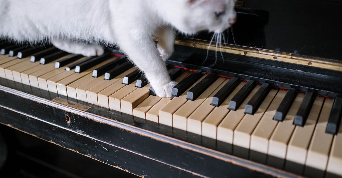 Ivory not increasing with mints in Kittens Game - White Cat on Piano Keys