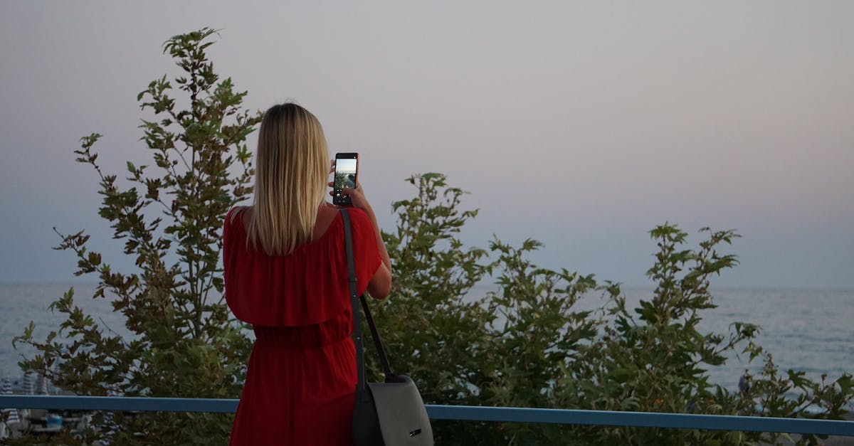 Lowest possible Pokemon level to beat Lorelei in Pokémon Red/Blue? - Backview of Woman in Red Dress taking a Photo of the Ocean 