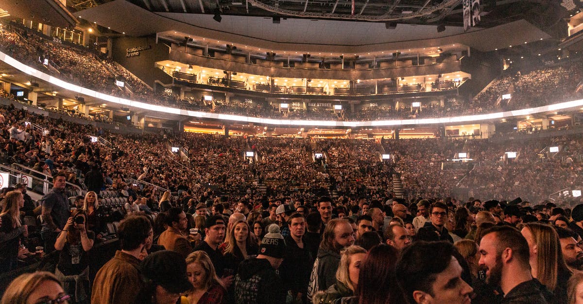 Magic: The Gathering Arena - How to switch basic land art? - People on Stadium Event