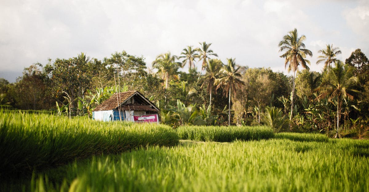 MGSVPP: Farming Staff - Brown Wooden House on Green Grass Field