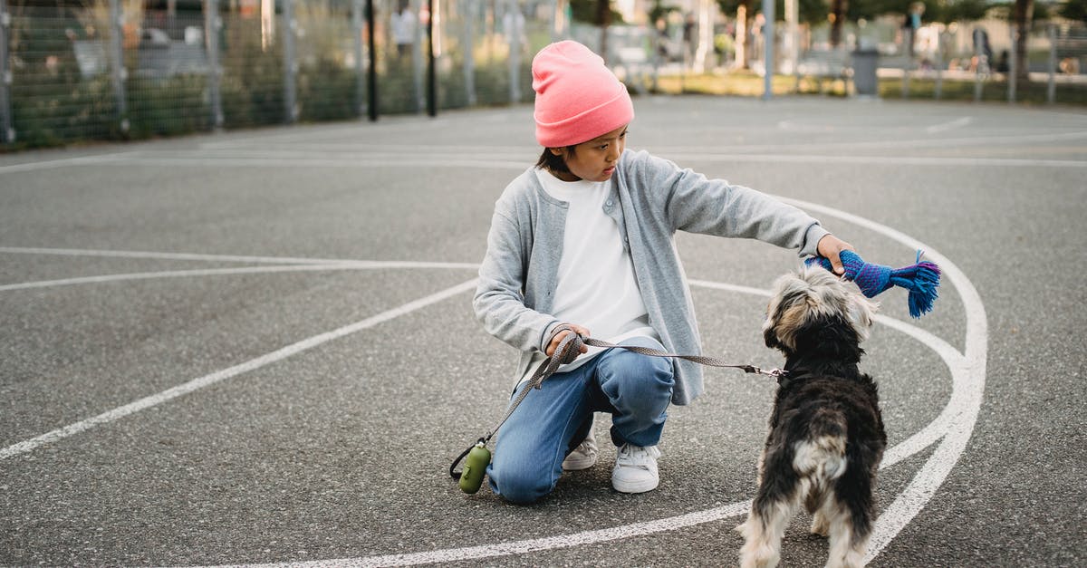 Minecraft timed command - Ethnic kid showing command to intelligent dog while squatting on asphalt pavement in city