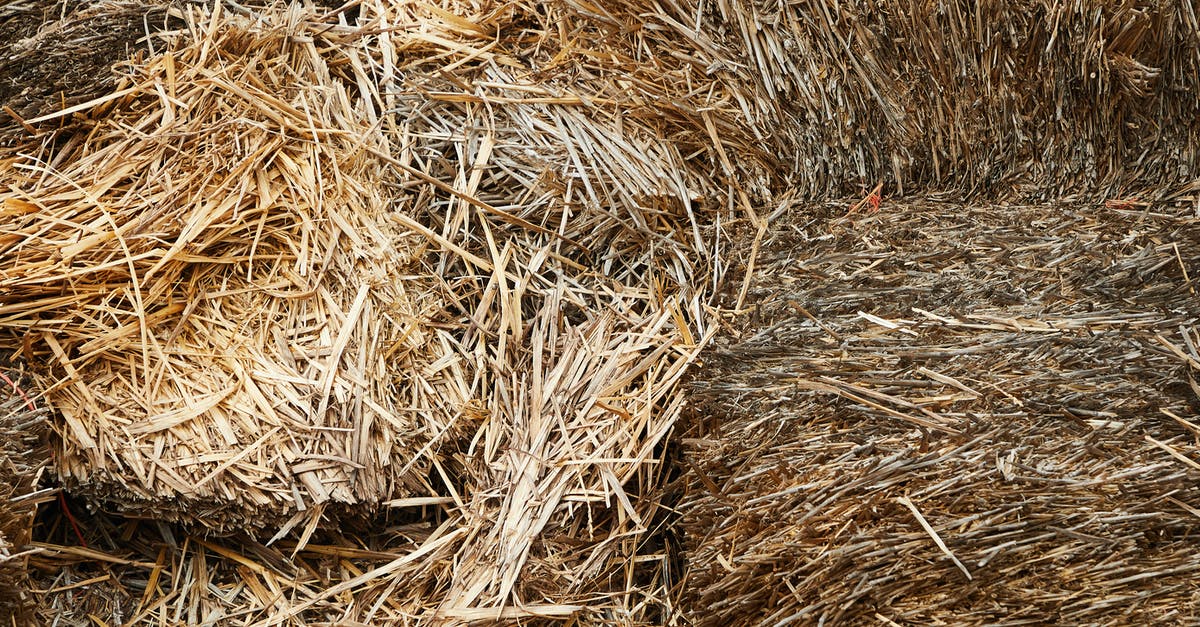 Miners ignore storage barn near the mine - Stacks of dry hay in barn