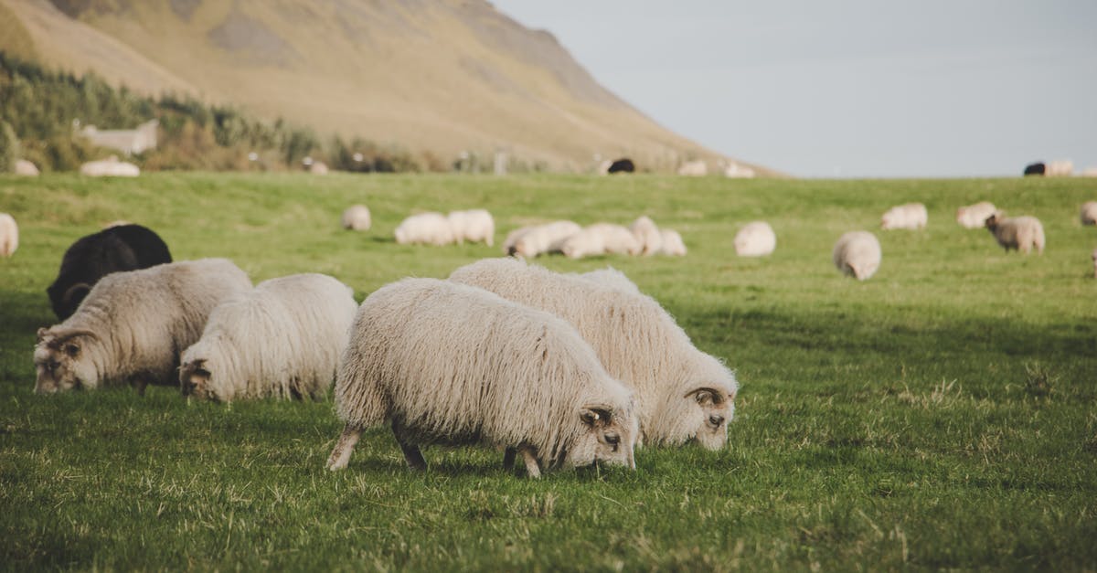 More RAM for minecraft - Flocks of Sheep Eating Grass