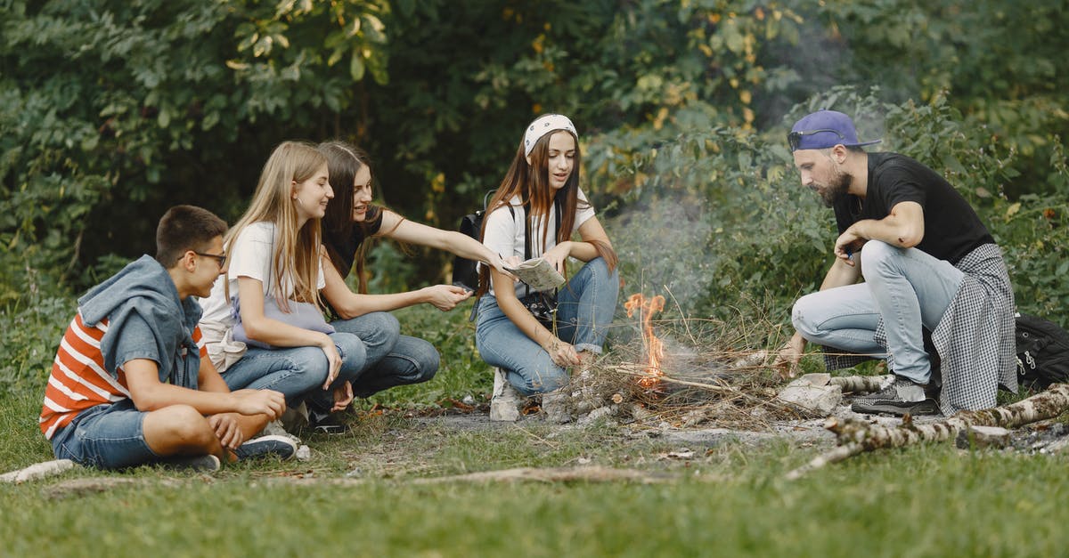 Most effective method of making money? - A Group of Friends Looking at the Bonfire