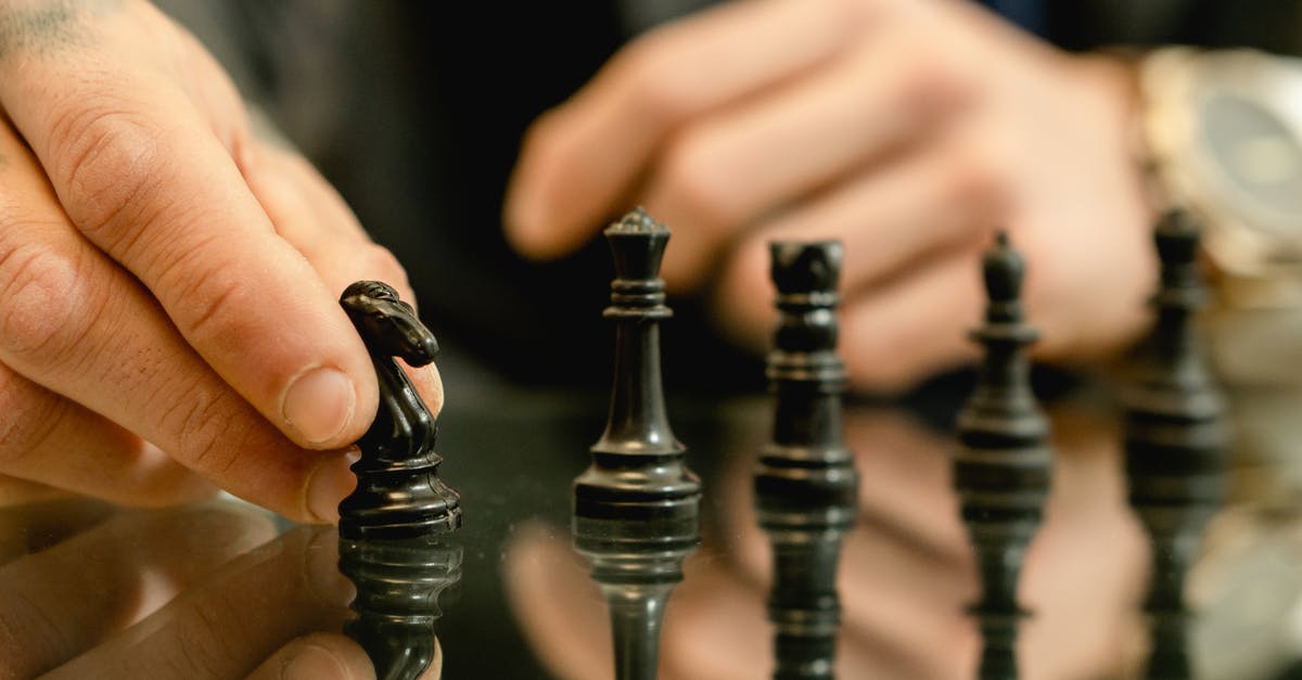 Mouse delay only when moving around in Minecraft Java Edition? - Photo of a Person's Hand Holding a Chess Piece