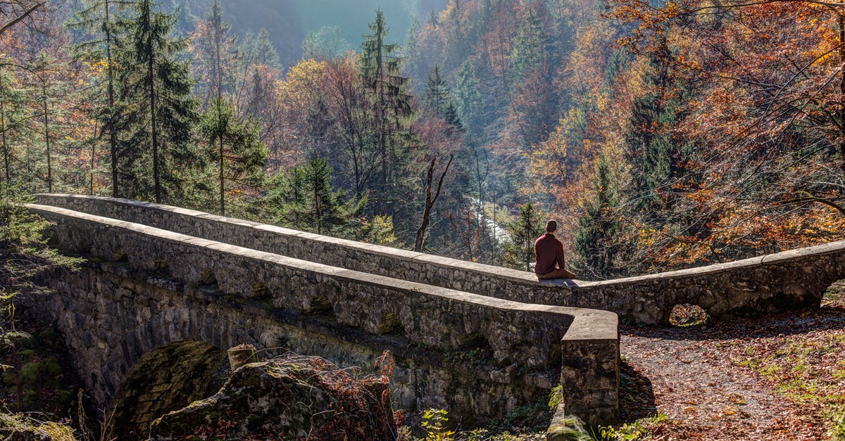 Murky & Dirty gem calculation to poison enemies - Person in Brown Shirt Sitting in Concrete Bridge Across Brown and Green Tree