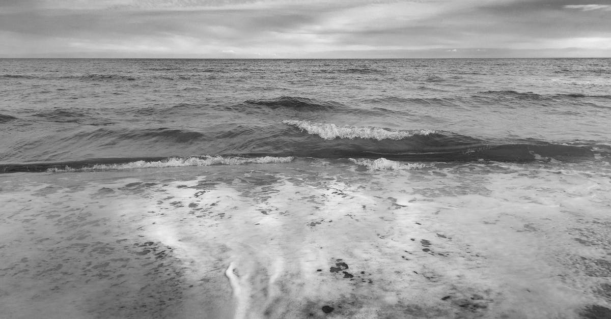 my minecraft keeps on crashing [duplicate] - Grayscale Photo of Ocean Waves